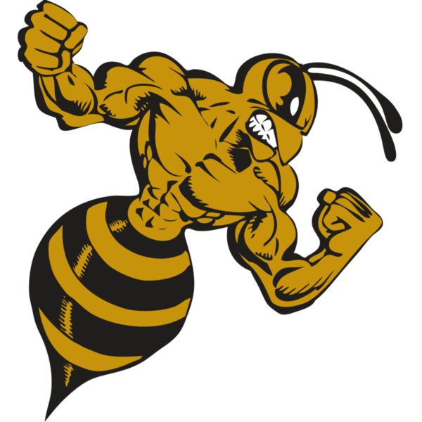 BAW BEE 01 RC Thumbnail