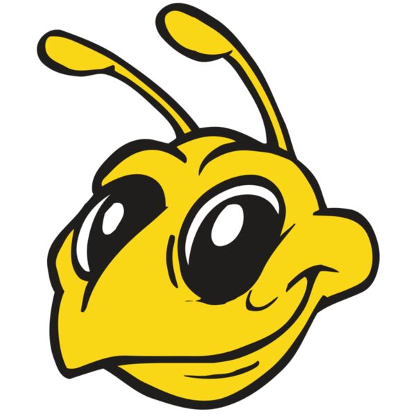 AR BEE 28 RC Thumbnail